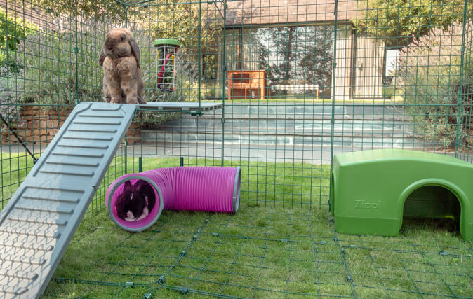 Kaninchen werden sich hoch oben auf der Plattform sicher fühlen und darunter geschützt