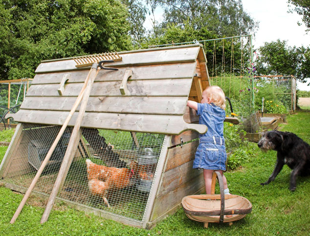 Kind, welches die Eier aus dem Boughton Hühnerstall einsammelt