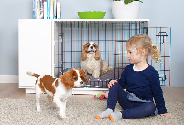 Der Fido Studio ist ideal für Welpen und ausgewachsene Hunde zugleich