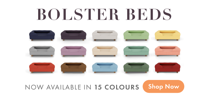 Omlet Bolster Dog Bed available in 15 colours