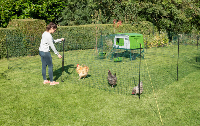 Eglu Cube und Hühnerzaun mit Tür