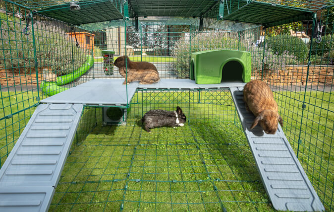 Die zusätzliche Ebene wird den Auslauf Ihrer Kaninchen bereichern und ihnen sowohl Abwechslung als auch Entspannung bieten.