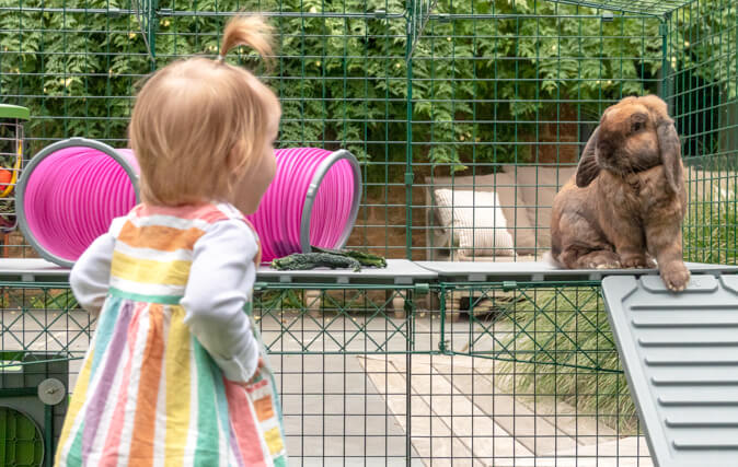 Mit den Zippi Plattformen können Sie den Auslauf Ihrer Kaninchen um eine neue aufregende Ebene erweitern, welche zu interaktivem Spiel und Bewegung anregt.