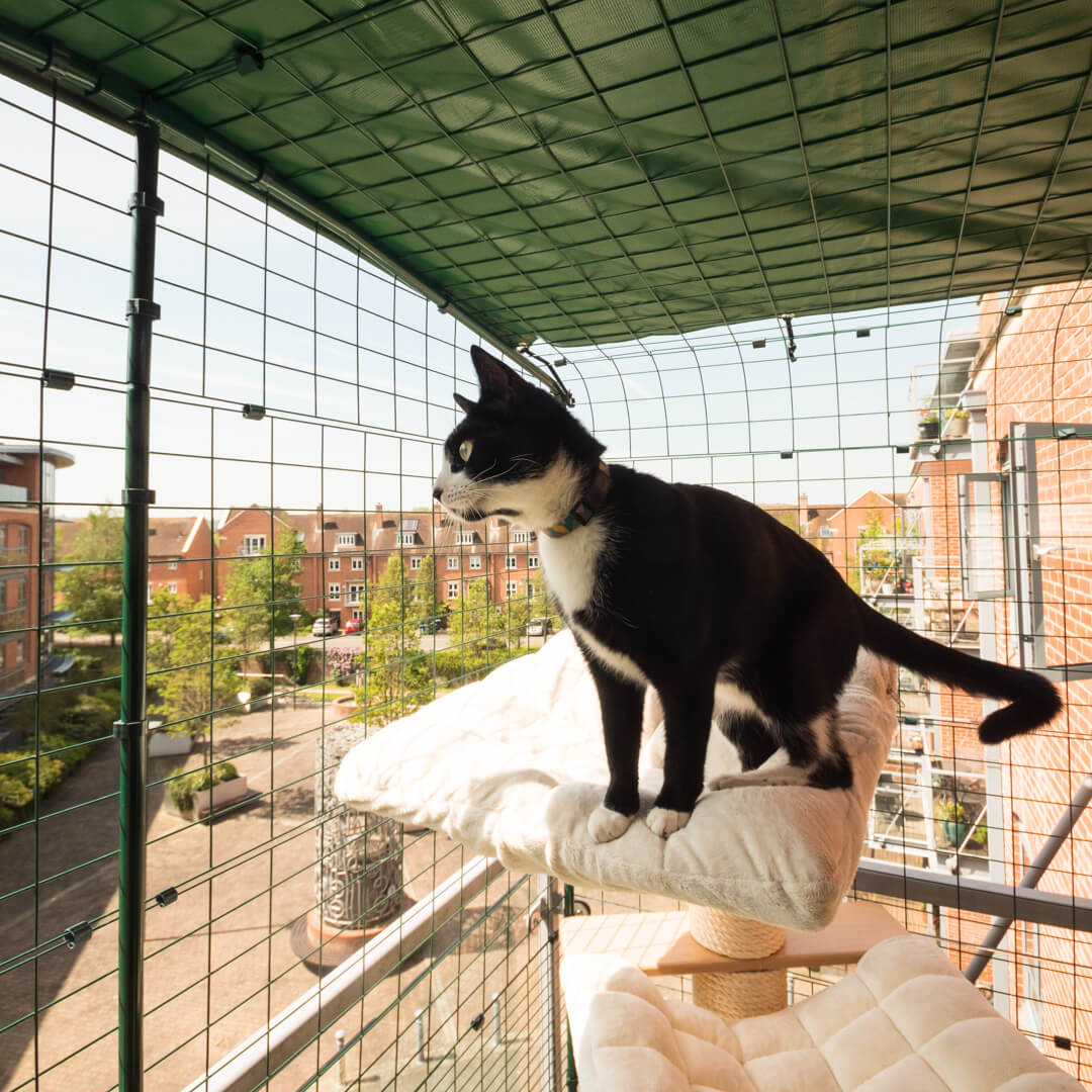 Eine Katze sitzt im sicheren Katzen-Balkonauslauf von Omlet auf einem Kletterbaum