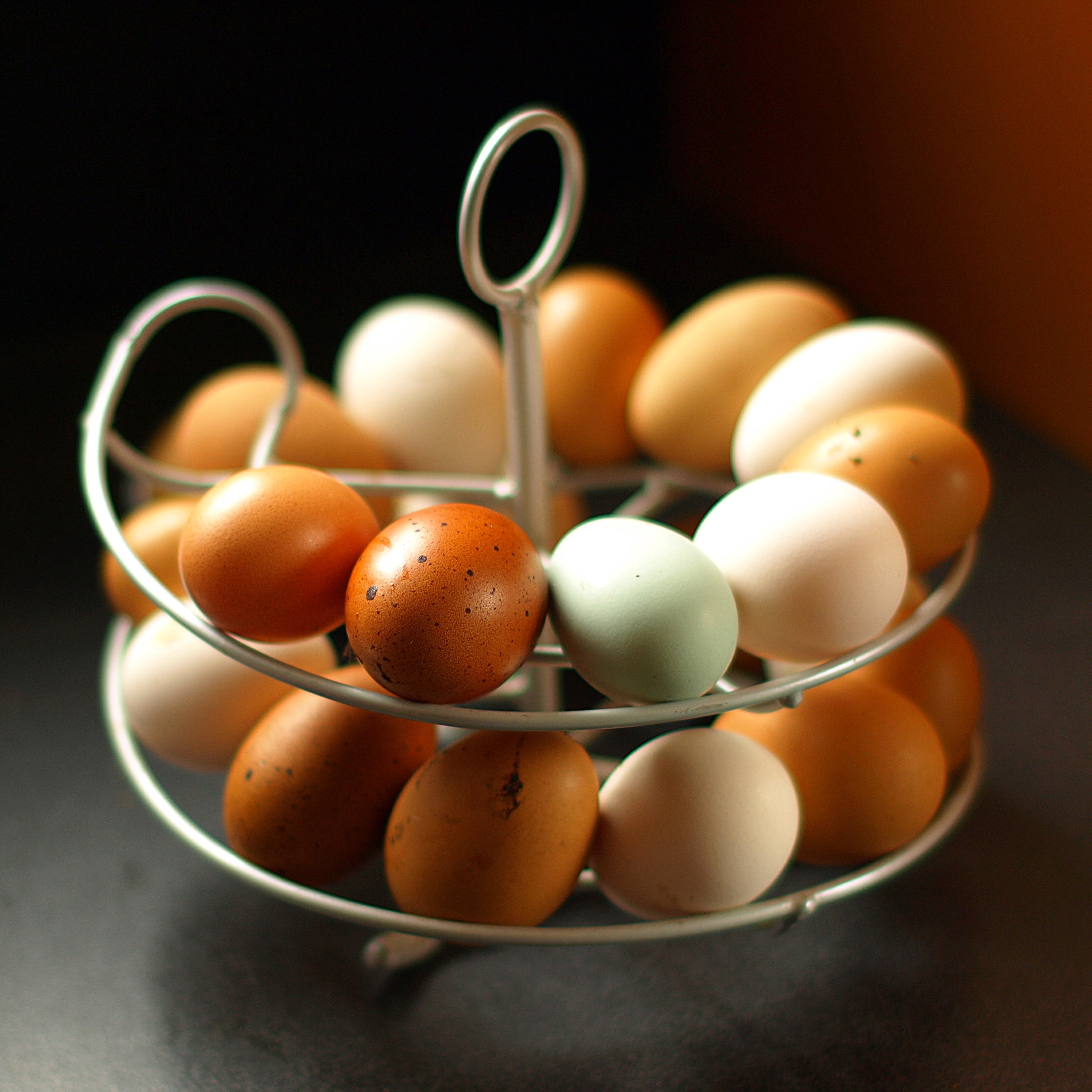 brown and white chicken eggs