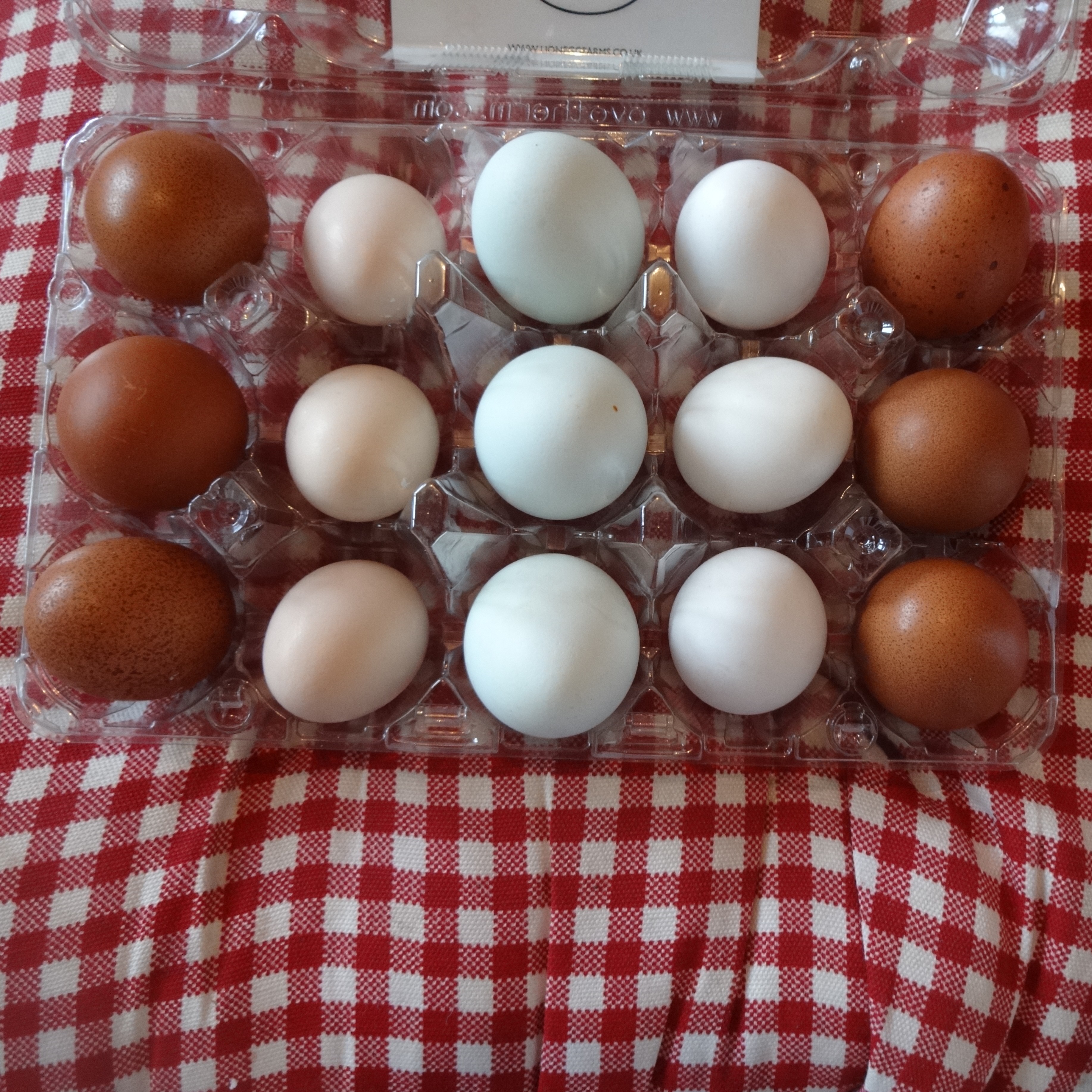 Nikkesha Heaths Sammlung an wundervoll unterschiedlichen, köstlichen Eiern