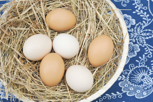 Eier in einem Korb mit Stroh einsammeln