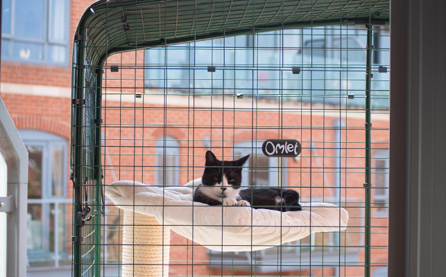 Um Ihre Katze stehts vor Wind und Wetter zu schützen, gibt es eine große Auswahl an Abdeckungen für das Balkongehege