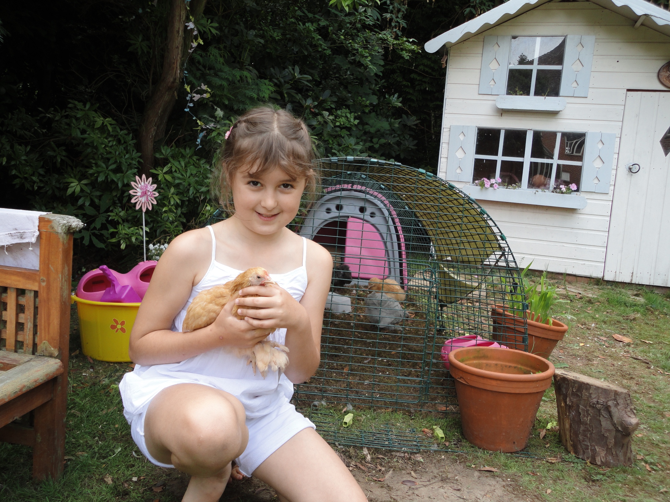 Wenn Ihre Kinder schon für Ihre Hennen im Kükenalter verantwortlich sind, dann werden sie sehr zahm werden