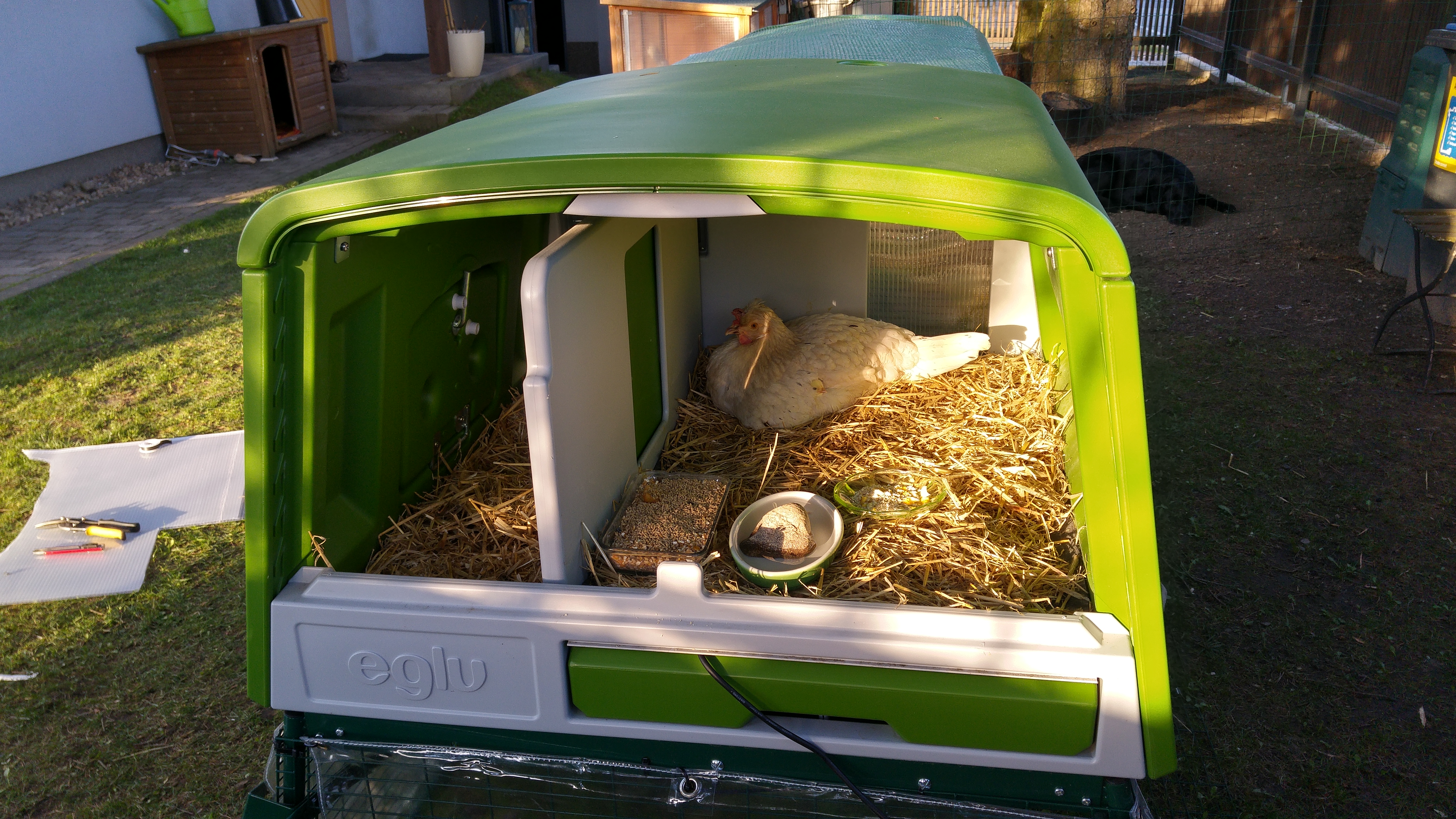 Der neue Eglu Cube Hühnerstall winterfest, fahrbar und mit Gehege