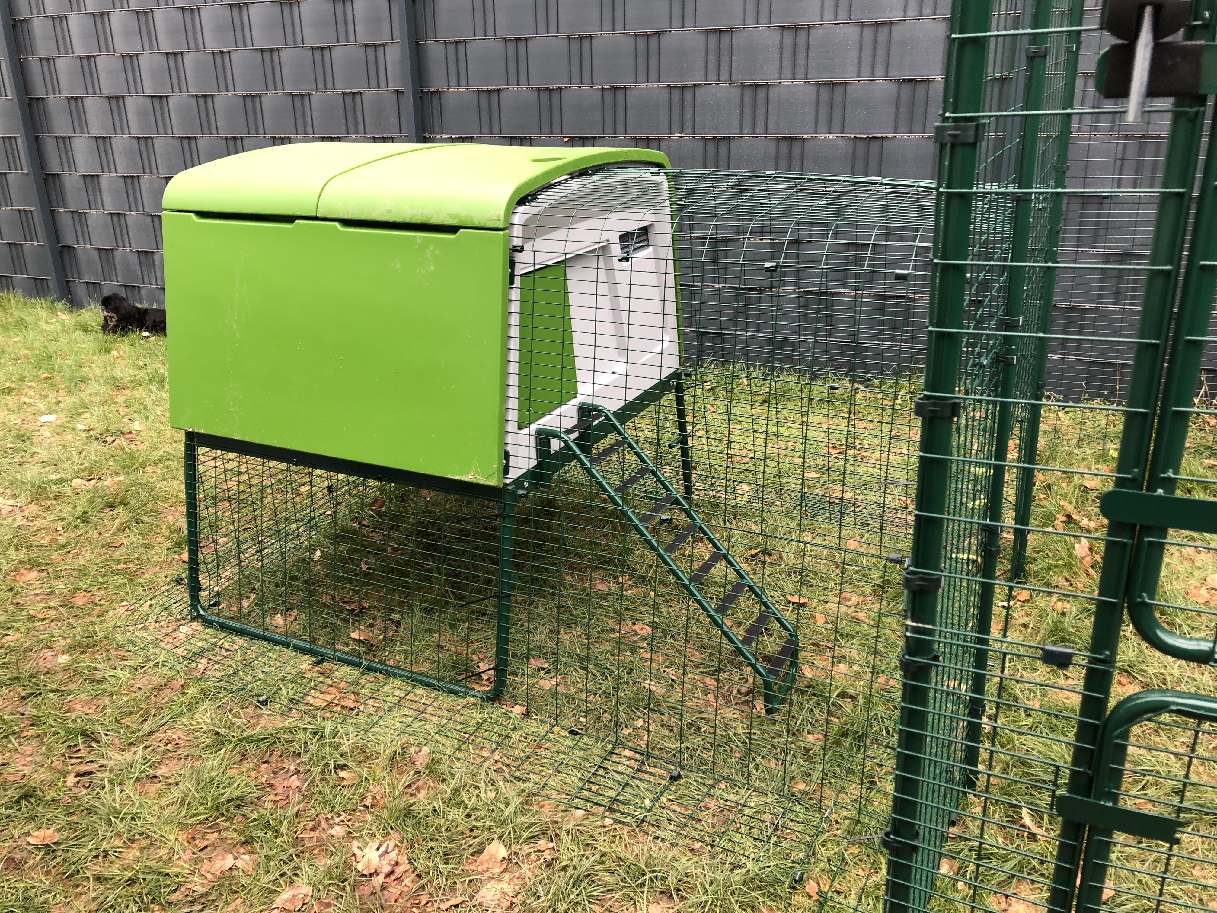 Der neue Eglu Cube Hühnerstall winterfest, fahrbar und mit Gehege