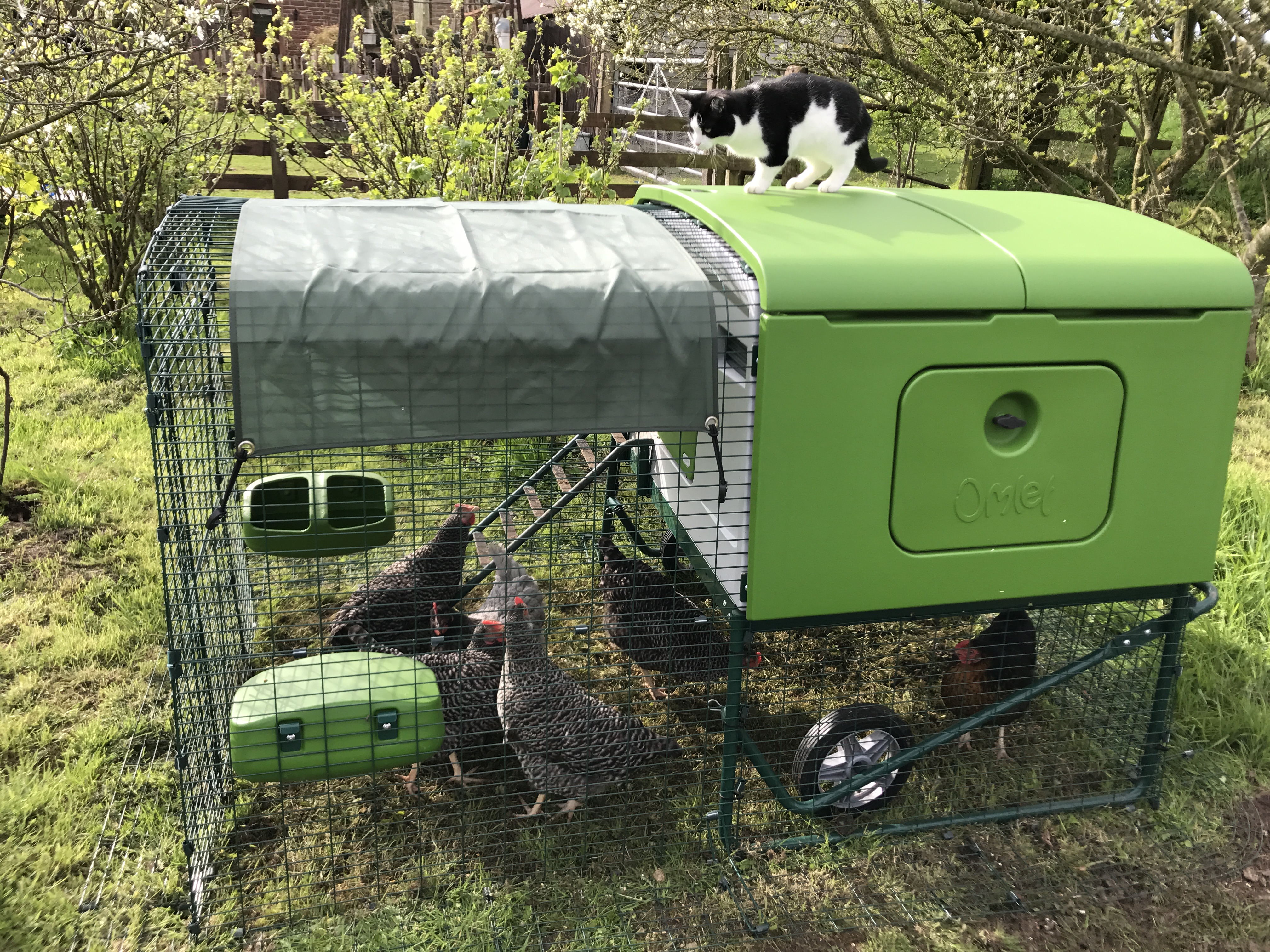 Der neue Eglu Cube Hühnerstall - winterfest, fahrbar und mit Gehege | Hühnerställe ...