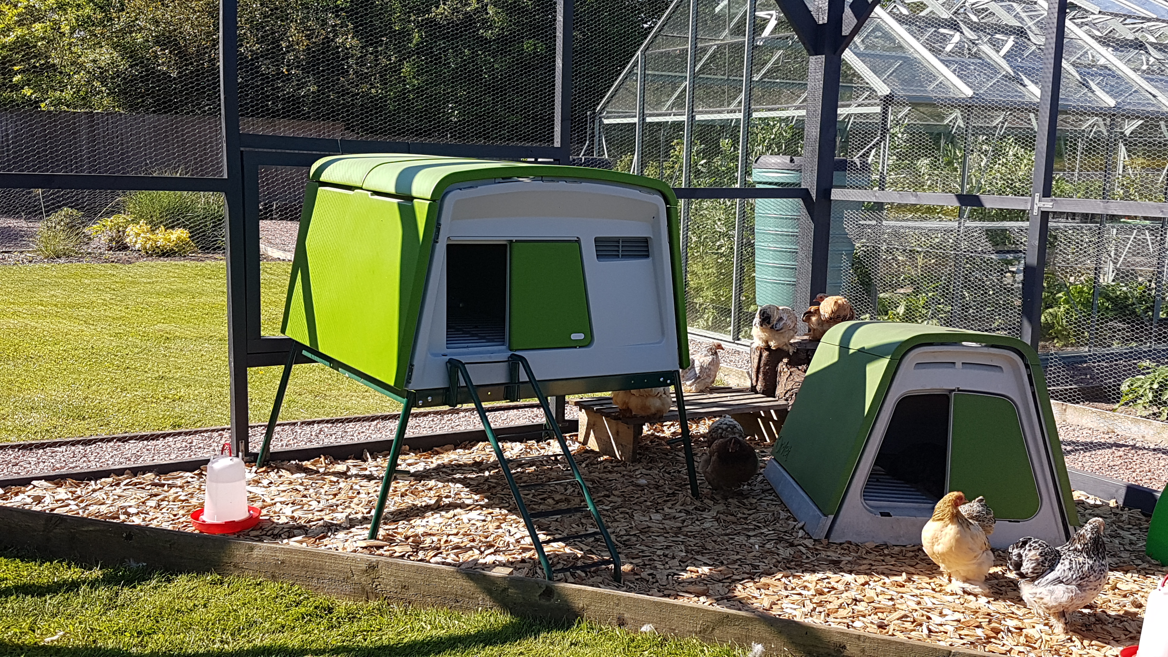 Der neue Eglu Cube Hühnerstall winterfest, fahrbar und mit Gehege