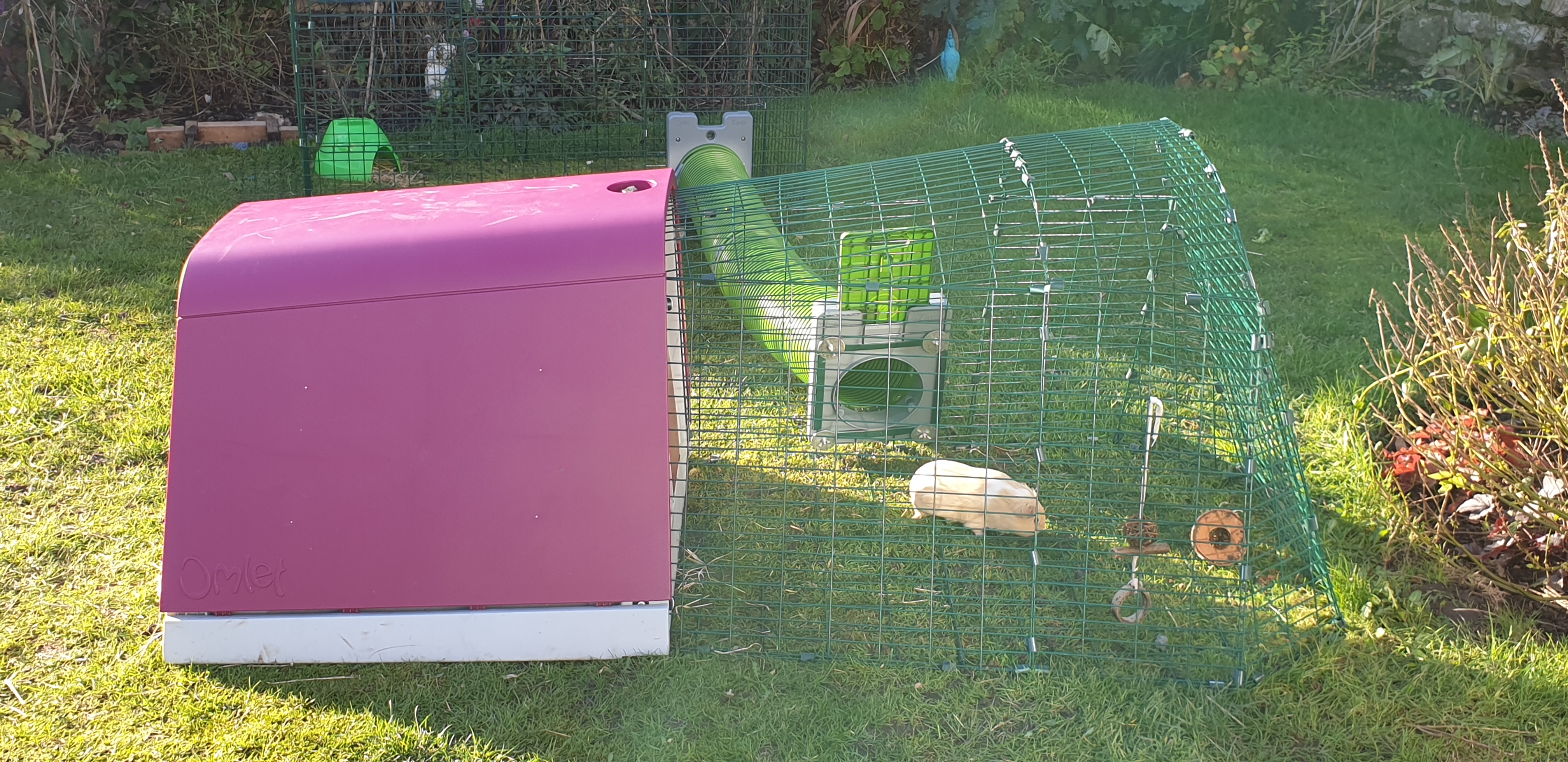 Meerschweinchenstall mit Gehege für zwei bis drei Meerschweinchen.