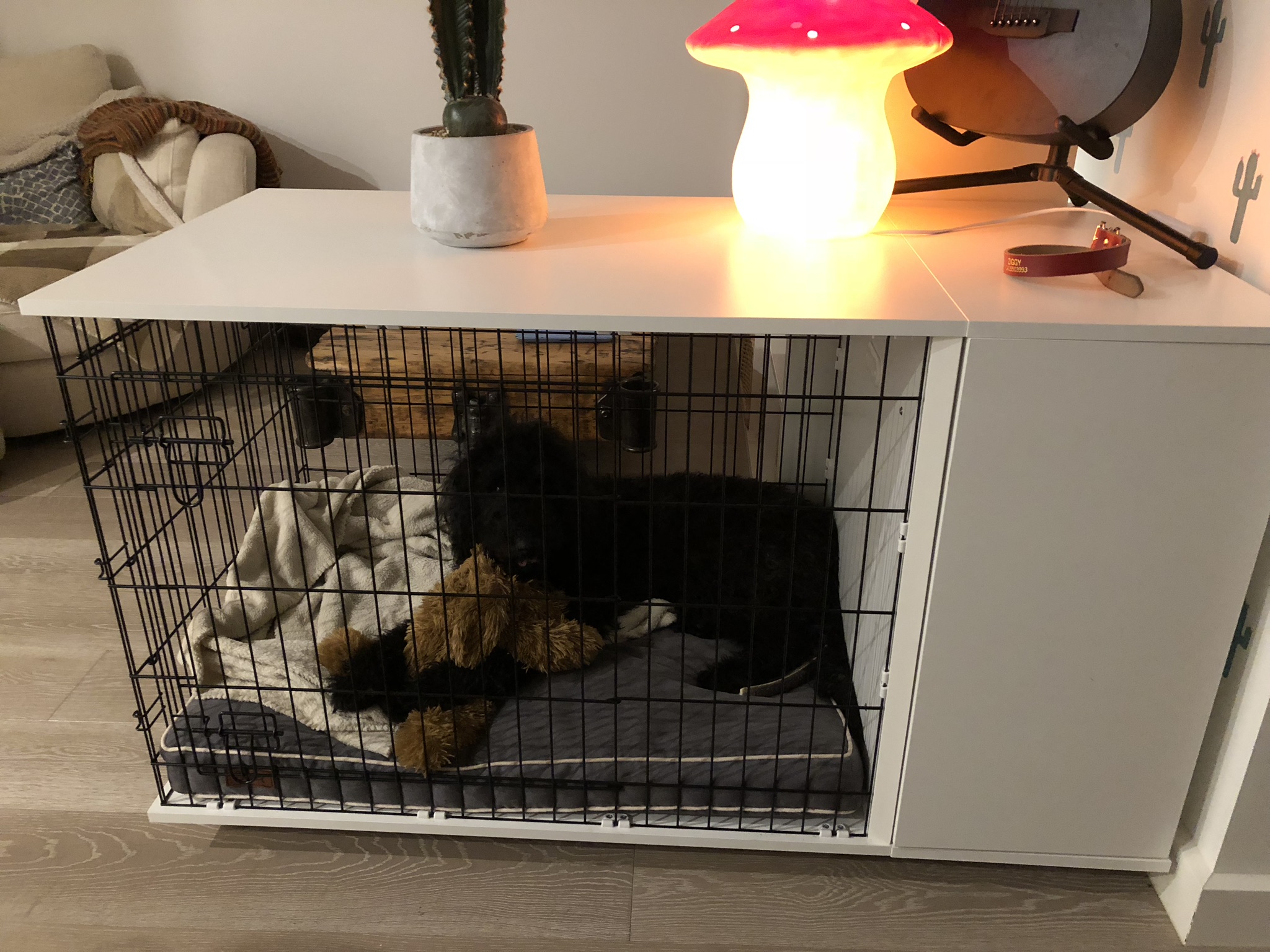 Hundebox Für Zuhause Holz