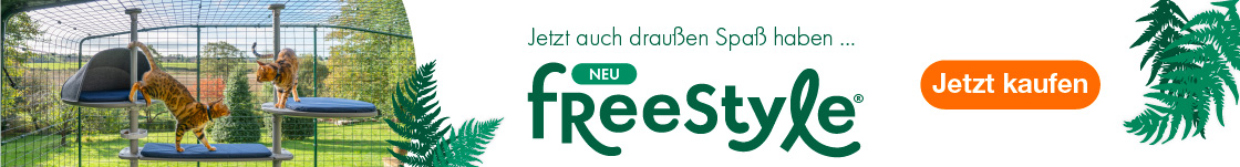 Zwei rothaarige Katzen sitzen auf dem Outdoor Freestyle Kletterbaum