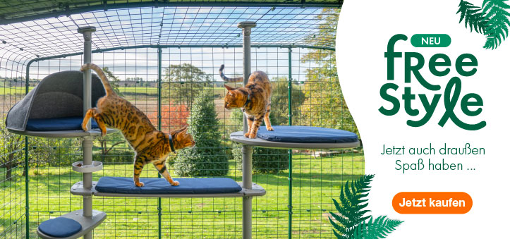 Zwei rothaarige Katzen sitzen auf dem Outdoor Freestyle Kletterbaum