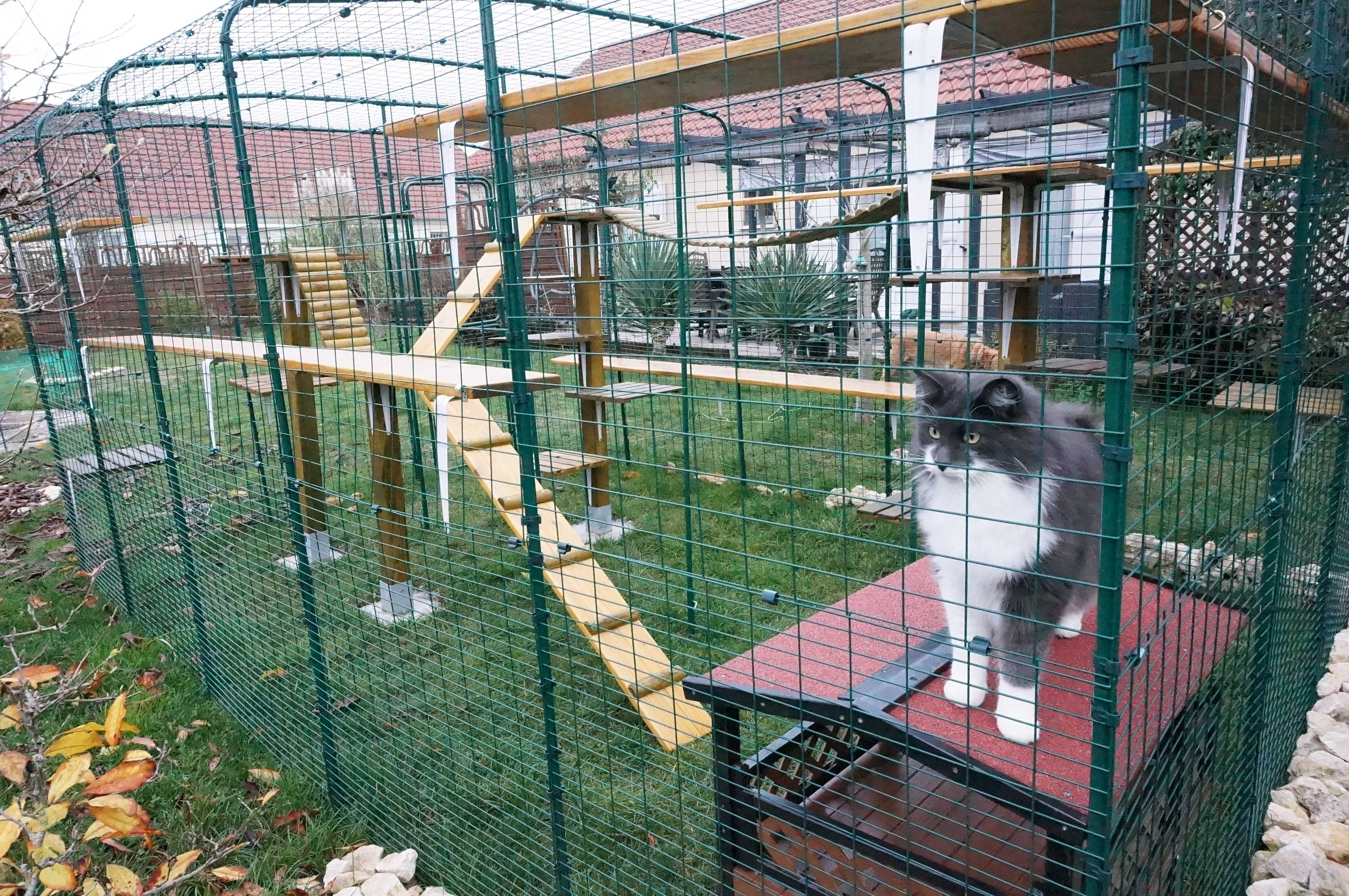 Outdoor Katzengehege Katzen Omlet