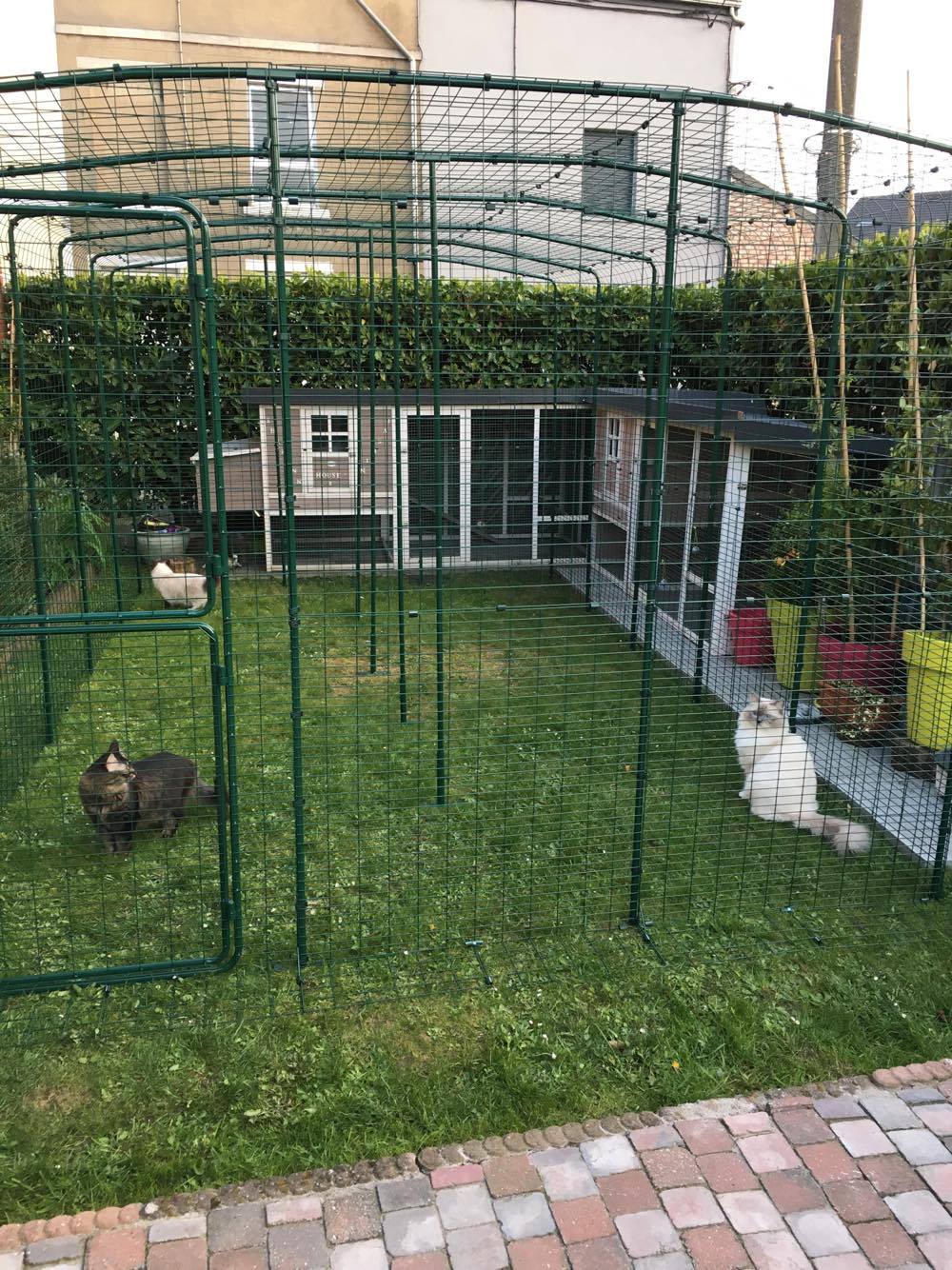 Outdoor Katzengehege Katzen Omlet