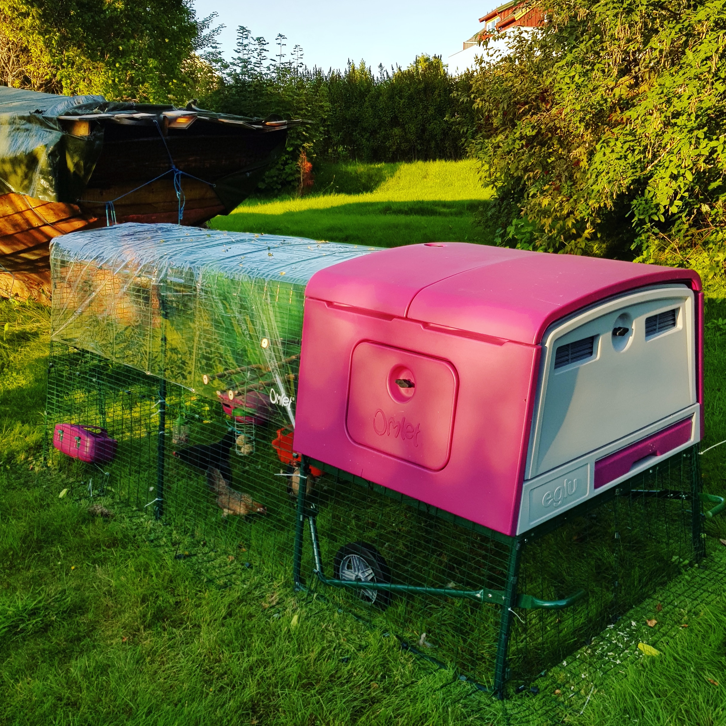 Der neue Eglu Cube Hühnerstall - winterfest, fahrbar und mit Gehege | Hühnerställe ...