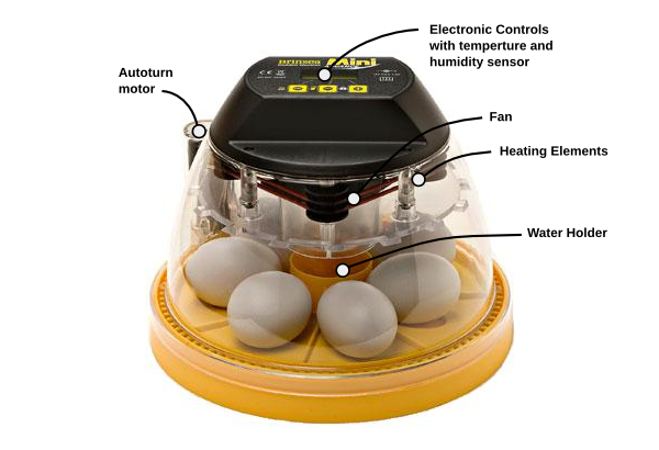 Inkubator für Eier digital automatisch mit Drehmaschinen-Inkubator 16 Eier Crtkoiwa Mini-Inkubator für Eier verwendet zum Inkubieren von Hühnereiern von Gänse- und Hühnerwachteleiern 
