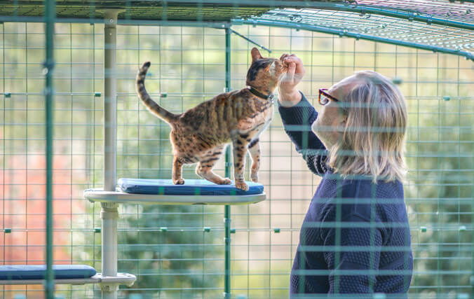 Mann und Katze im Inneren eines Katzengeheges genießen zusammen den personalisierten Outdoor Kletterbaum