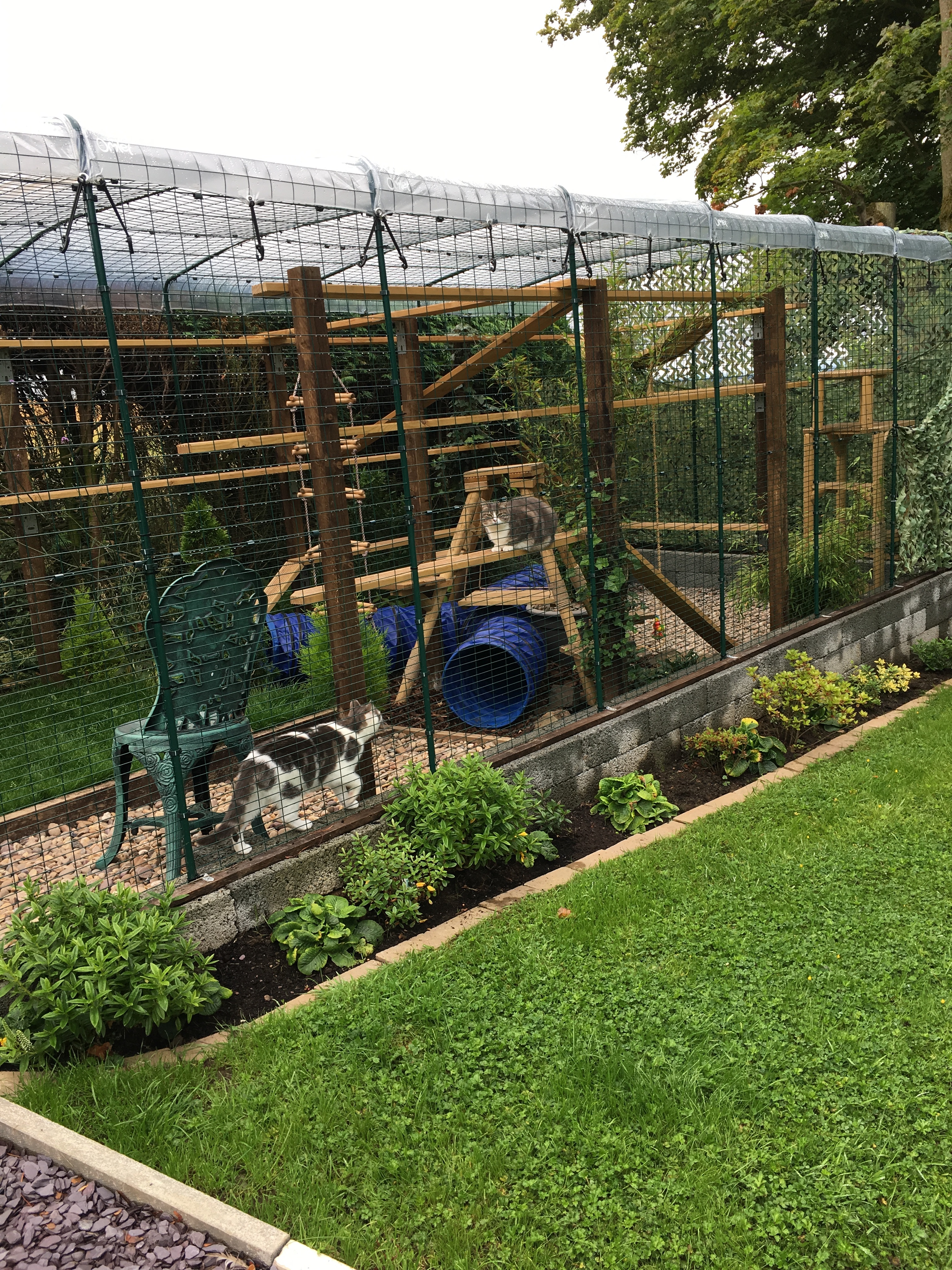 Outdoor Katzengehege Katzen Omlet