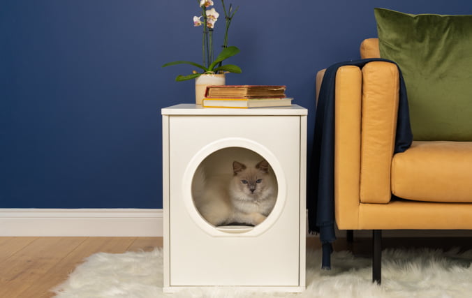 Stylishes Katzenmöbel, das sich toll in Ihrem Haus macht
