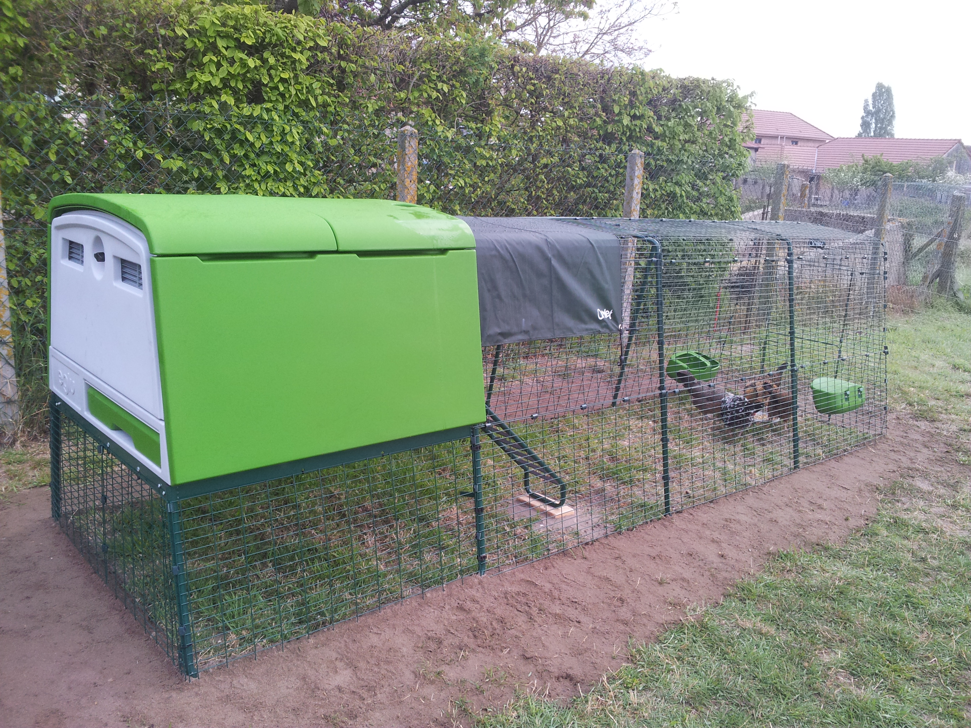 Der neue Eglu Cube Hühnerstall winterfest, fahrbar und mit Gehege