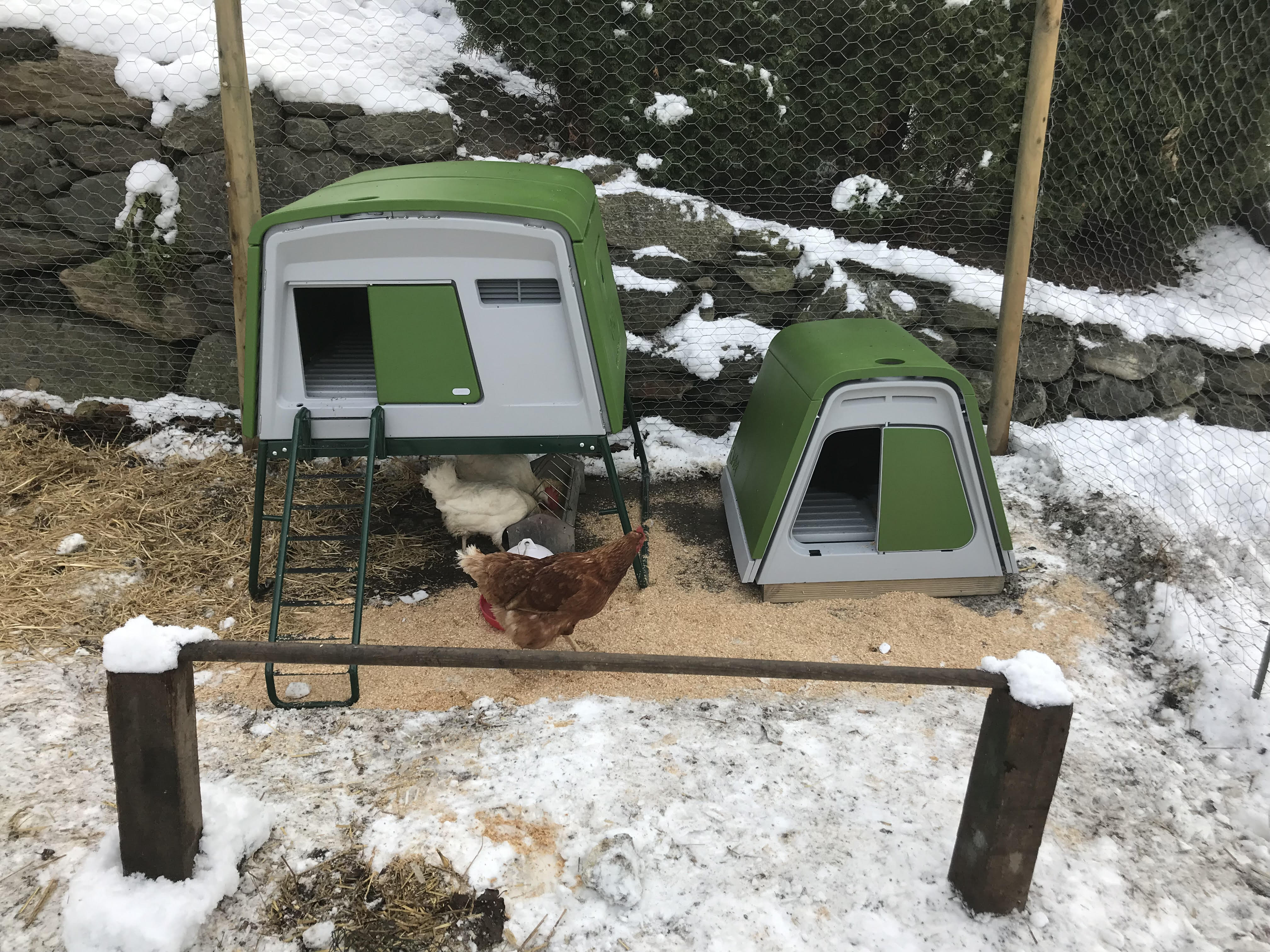 Der neue Eglu Cube Hühnerstall winterfest, fahrbar und