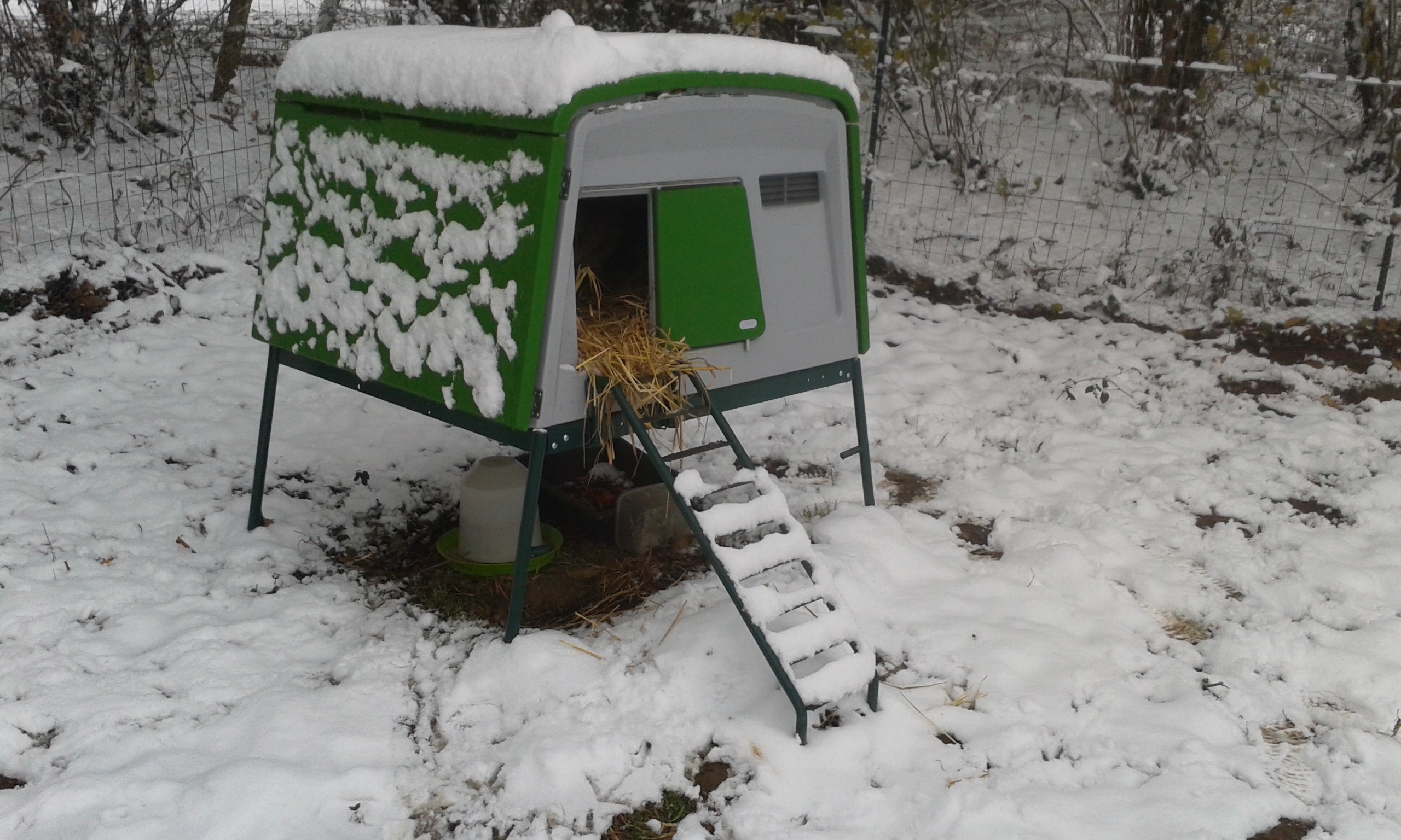 Der neue Eglu Cube Hühnerstall winterfest, fahrbar und