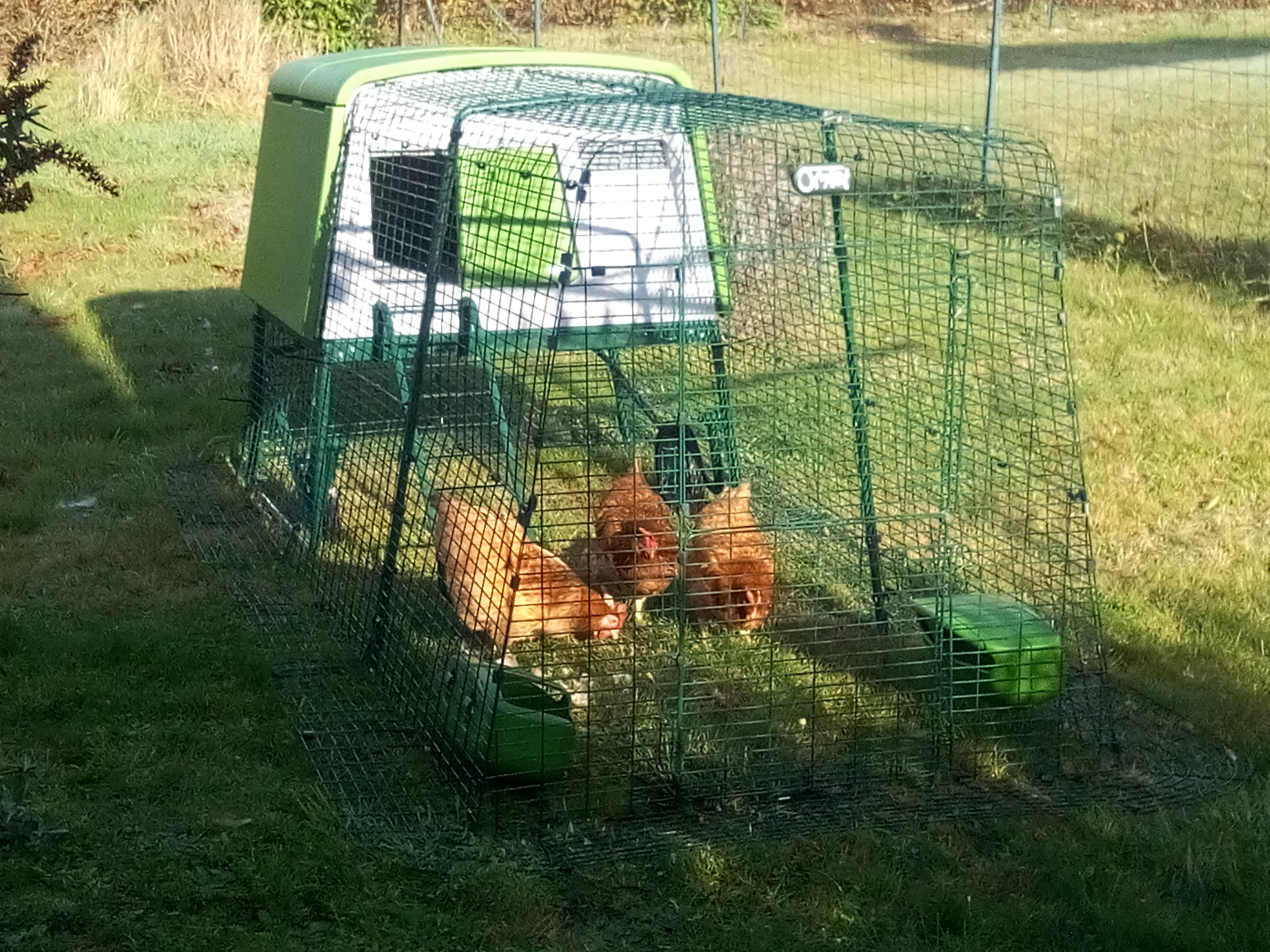 Der neue Eglu Cube Hühnerstall winterfest, fahrbar und mit Gehege