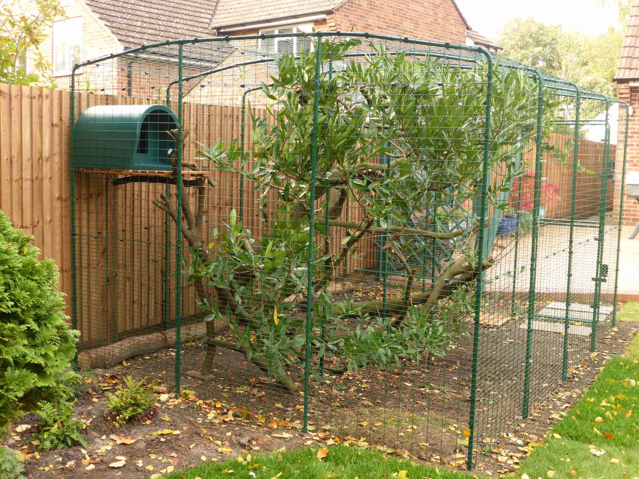 Outdoor Katzengehege Katzen Omlet