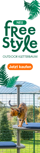 Zwei rothaarige Katzen sitzen auf dem Outdoor Freestyle Kletterbaum