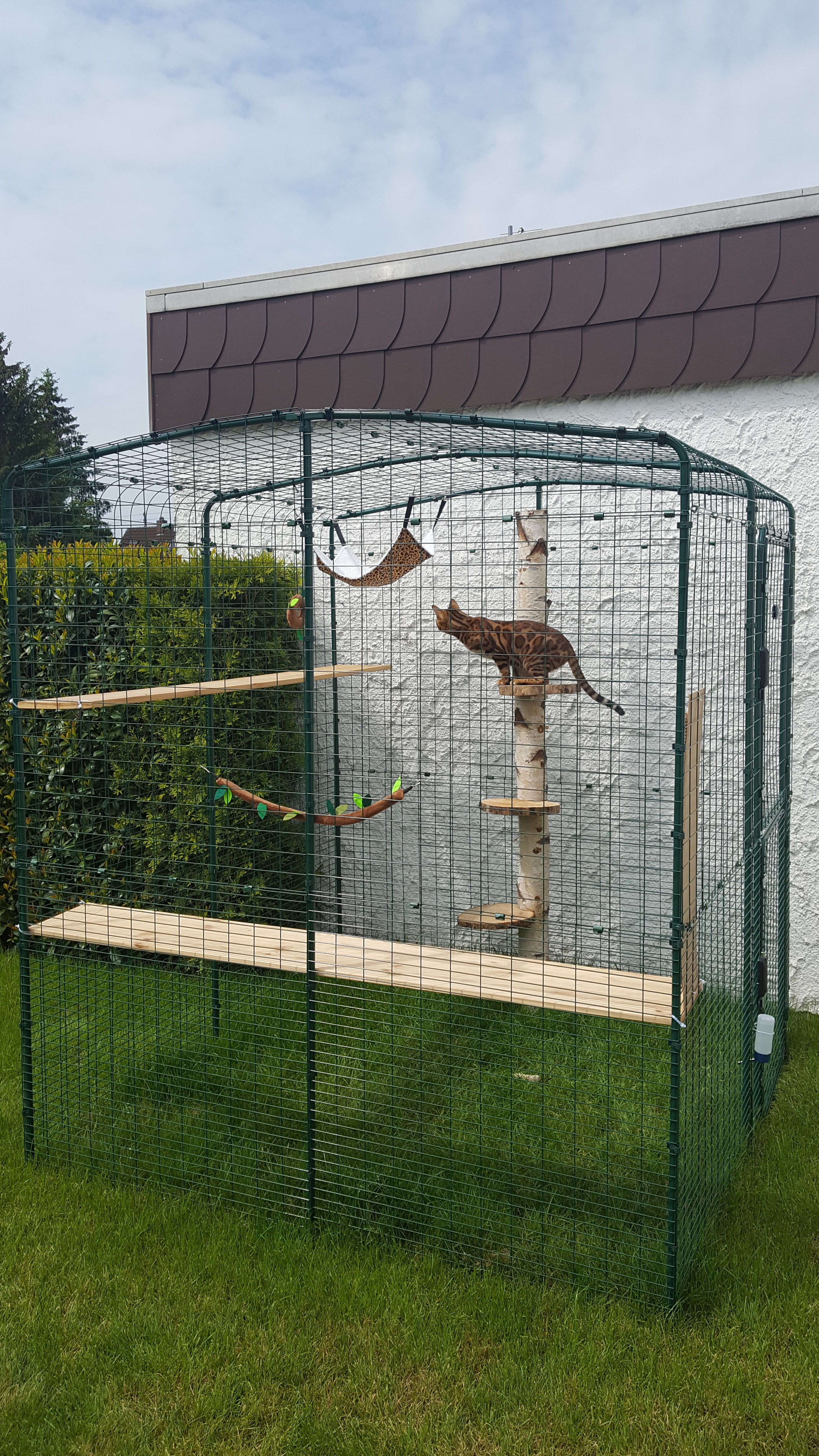 Outdoor Katzengehege Katzen Omlet