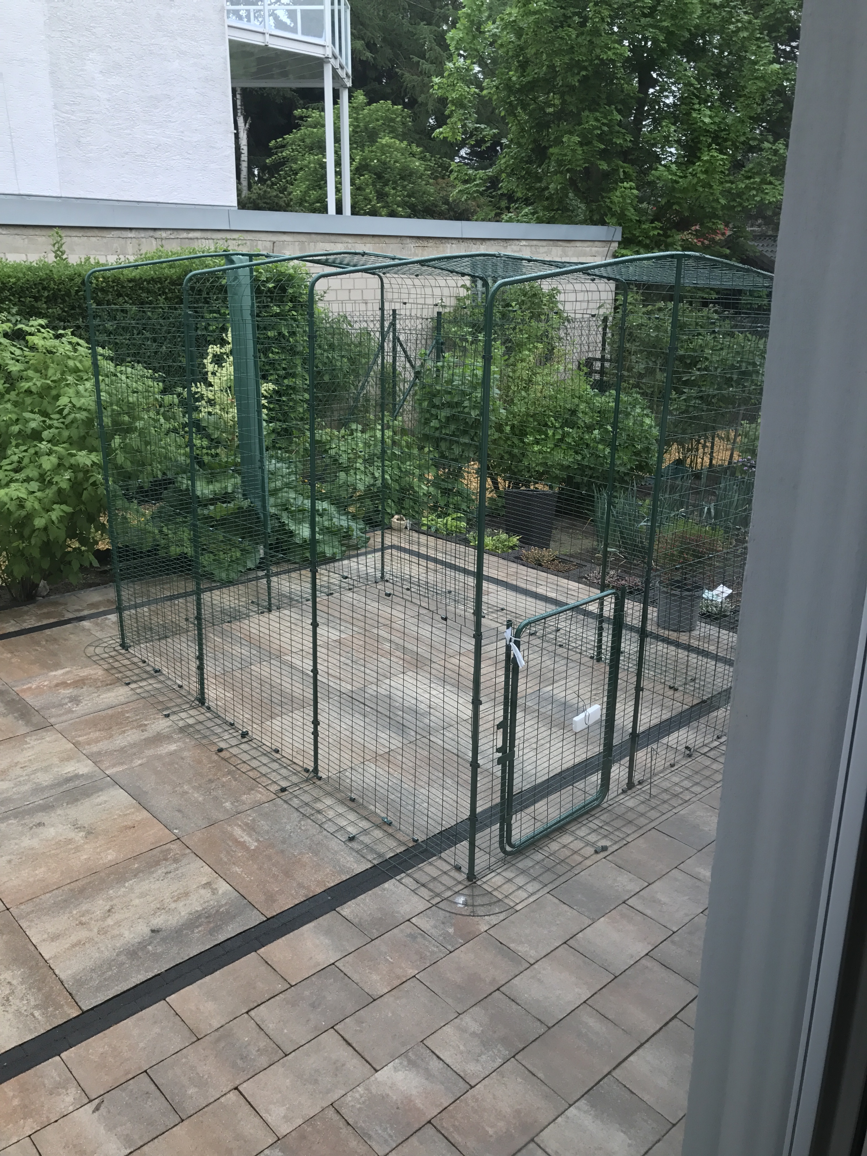 Outdoor Katzengehege Katzen Omlet