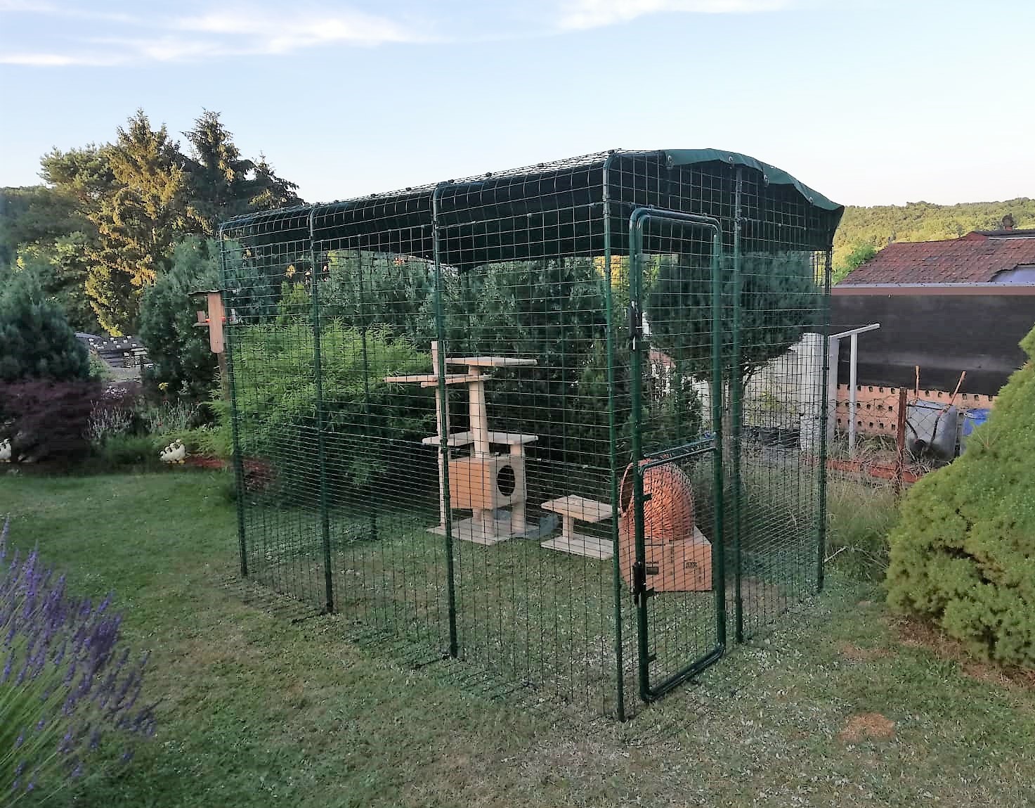 56+ Katzengehege Garten, Unkontrollierter freigang ist vielen