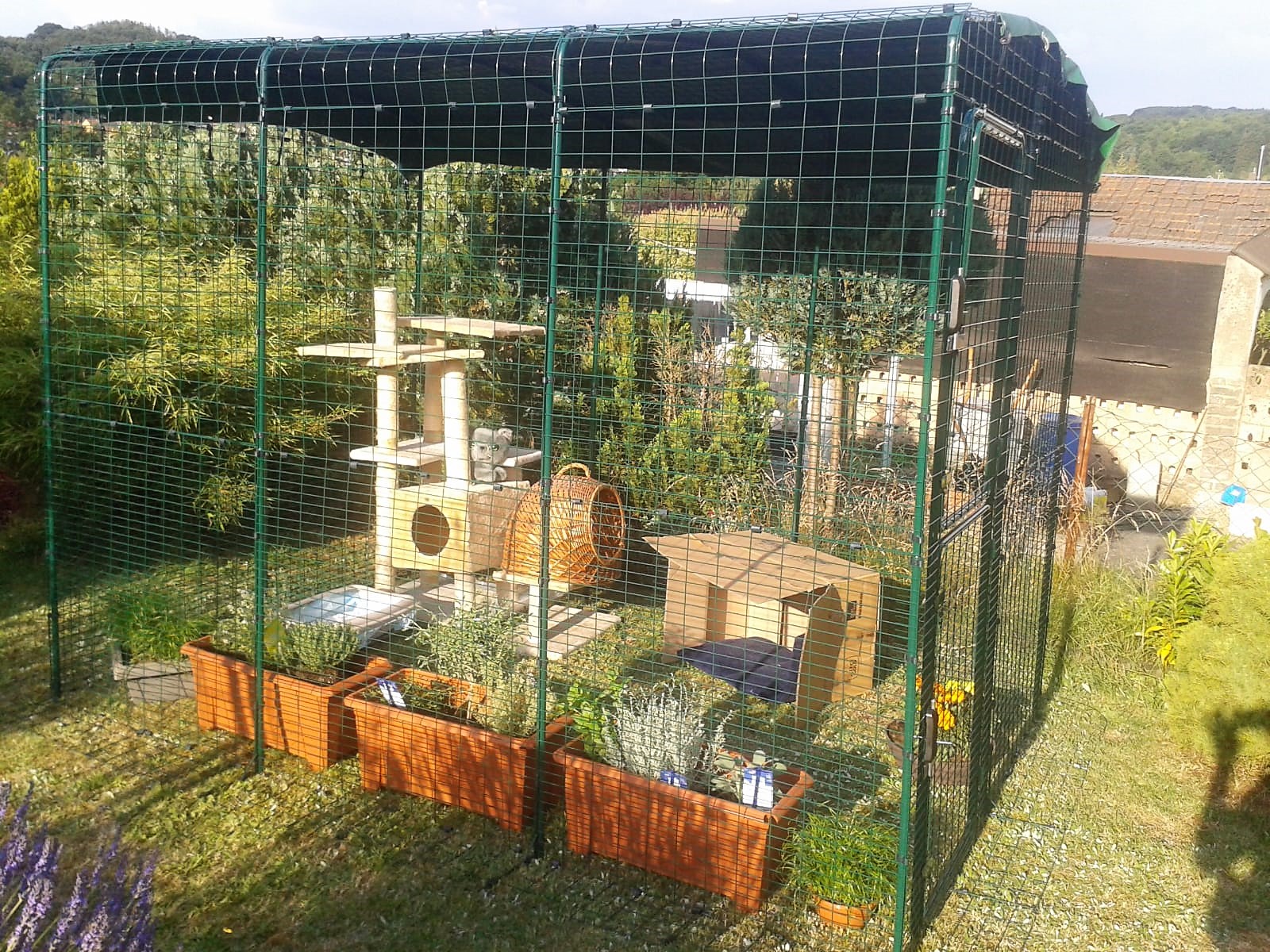 Outdoor Katzengehege Katzen Omlet