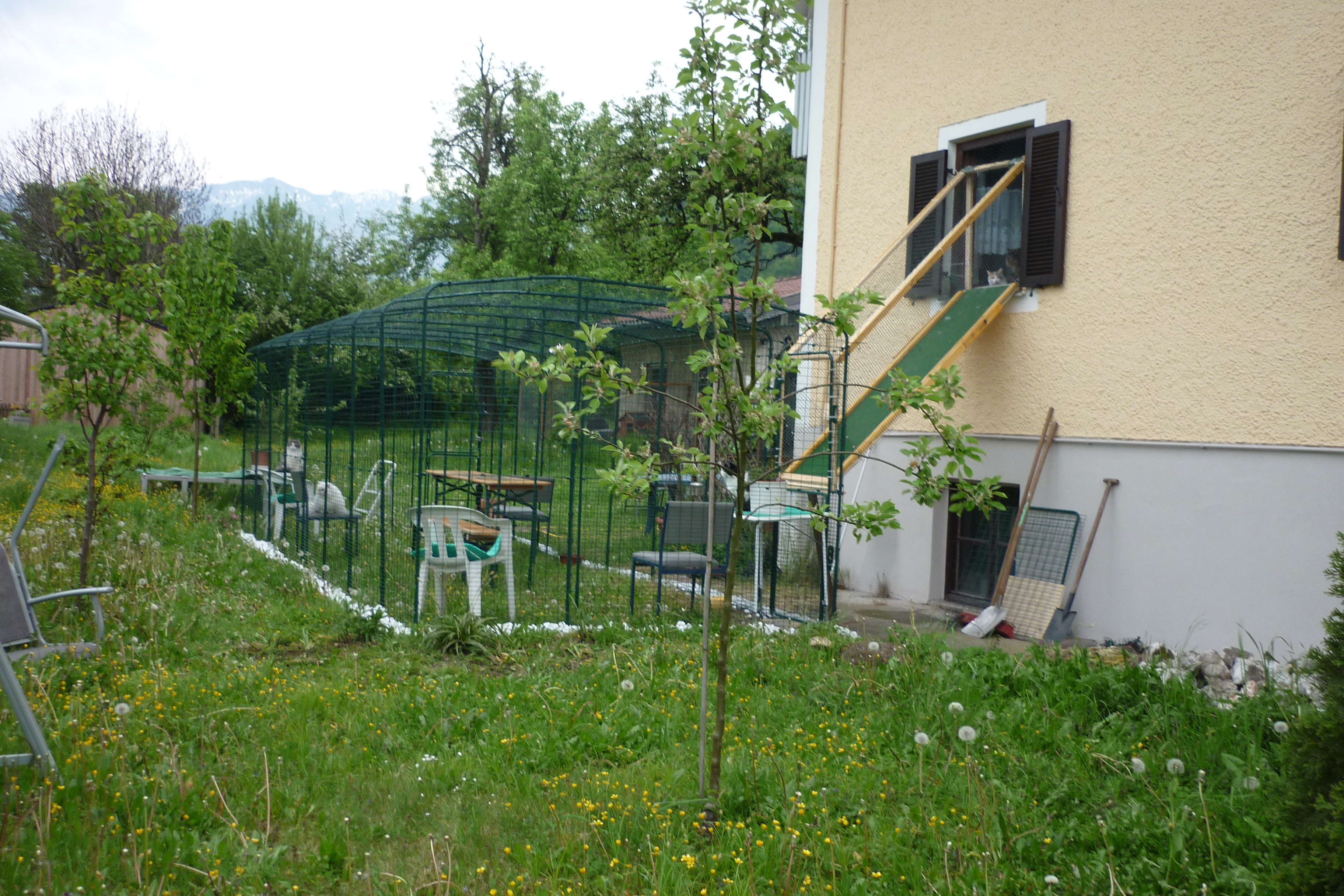 katzengehege im garten selber bauen