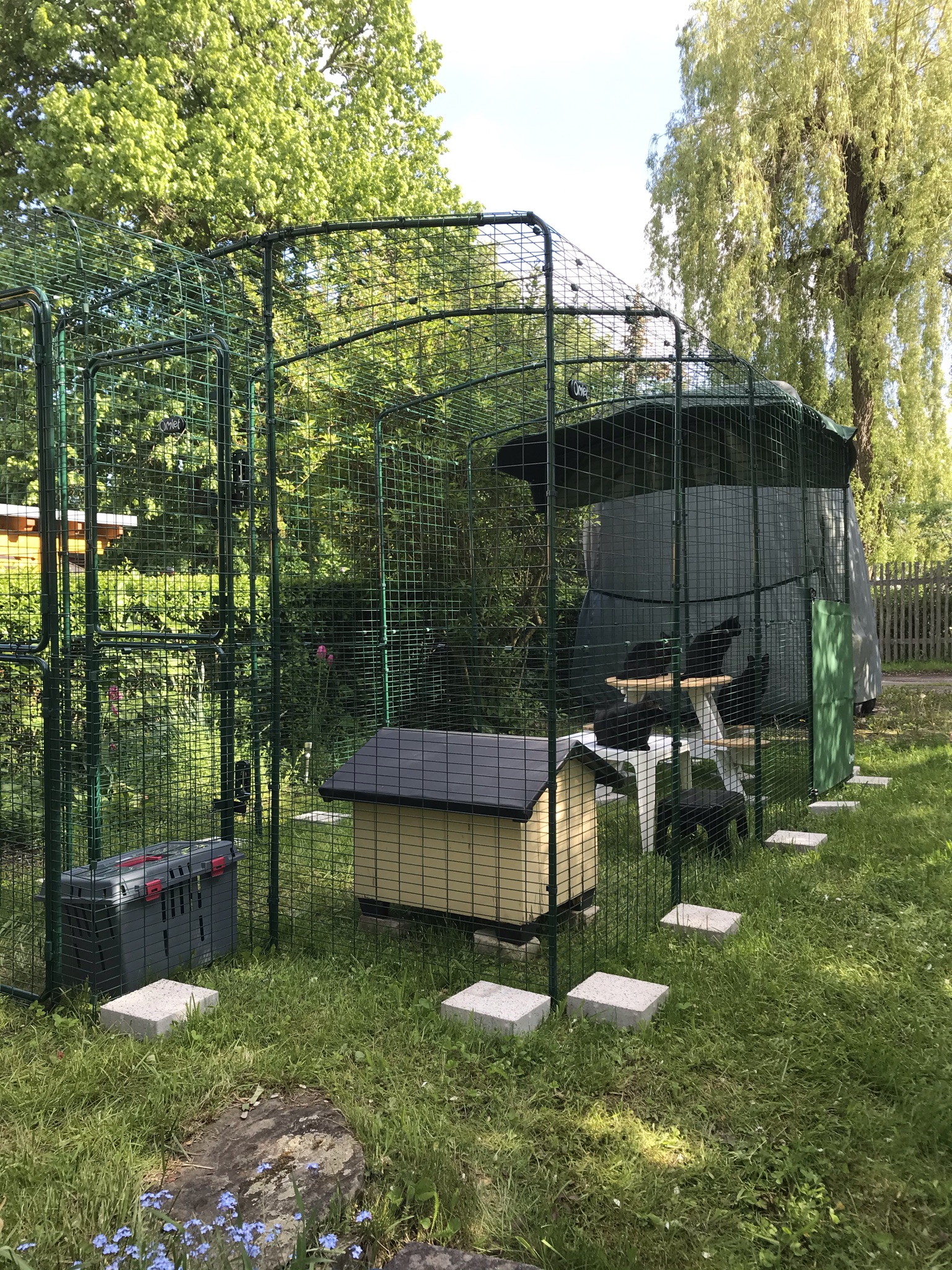 Outdoor Katzengehege Katzen Omlet