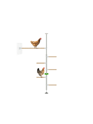 PoleTree Hühnerstangen - Das Hendurance Set - 1,70 - 2,15m